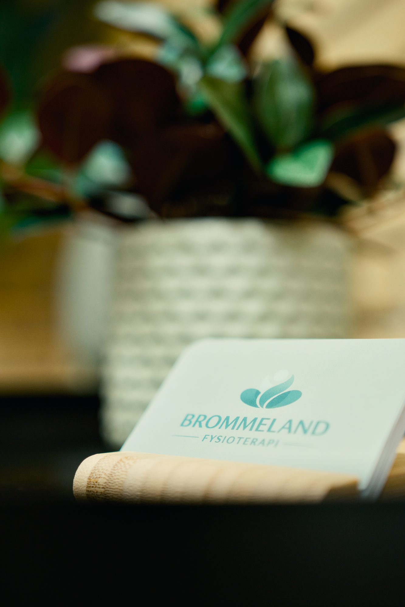 Brommeland Fysioterapi